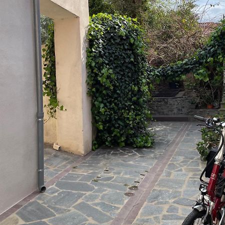Studio Cabine A Collioure, A 100M De La Plage Et Des Commerces - Fr-1-309-153 Экстерьер фото