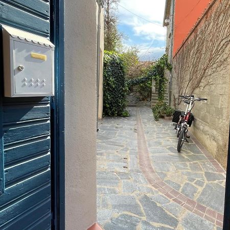 Studio Cabine A Collioure, A 100M De La Plage Et Des Commerces - Fr-1-309-153 Экстерьер фото